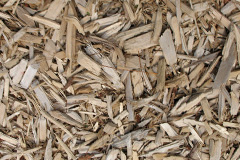 biomass boilers Felinfoel